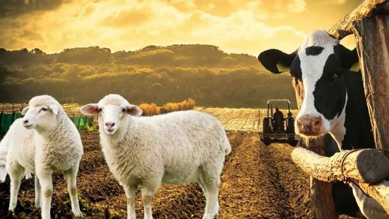 Tarımda dev hamle geliyor! Destek şartları sil baştan